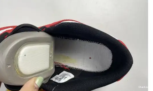 SB Low Nike Dunk 25th years 309242-307 0621